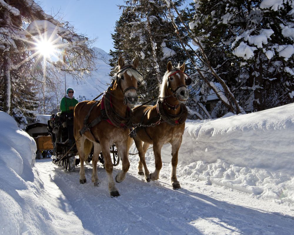 presse-tirol-werbung-pferdekutschenfahrt-pitztal-copy-tvb-pitztal-fotograf-christian-forcher.jpg